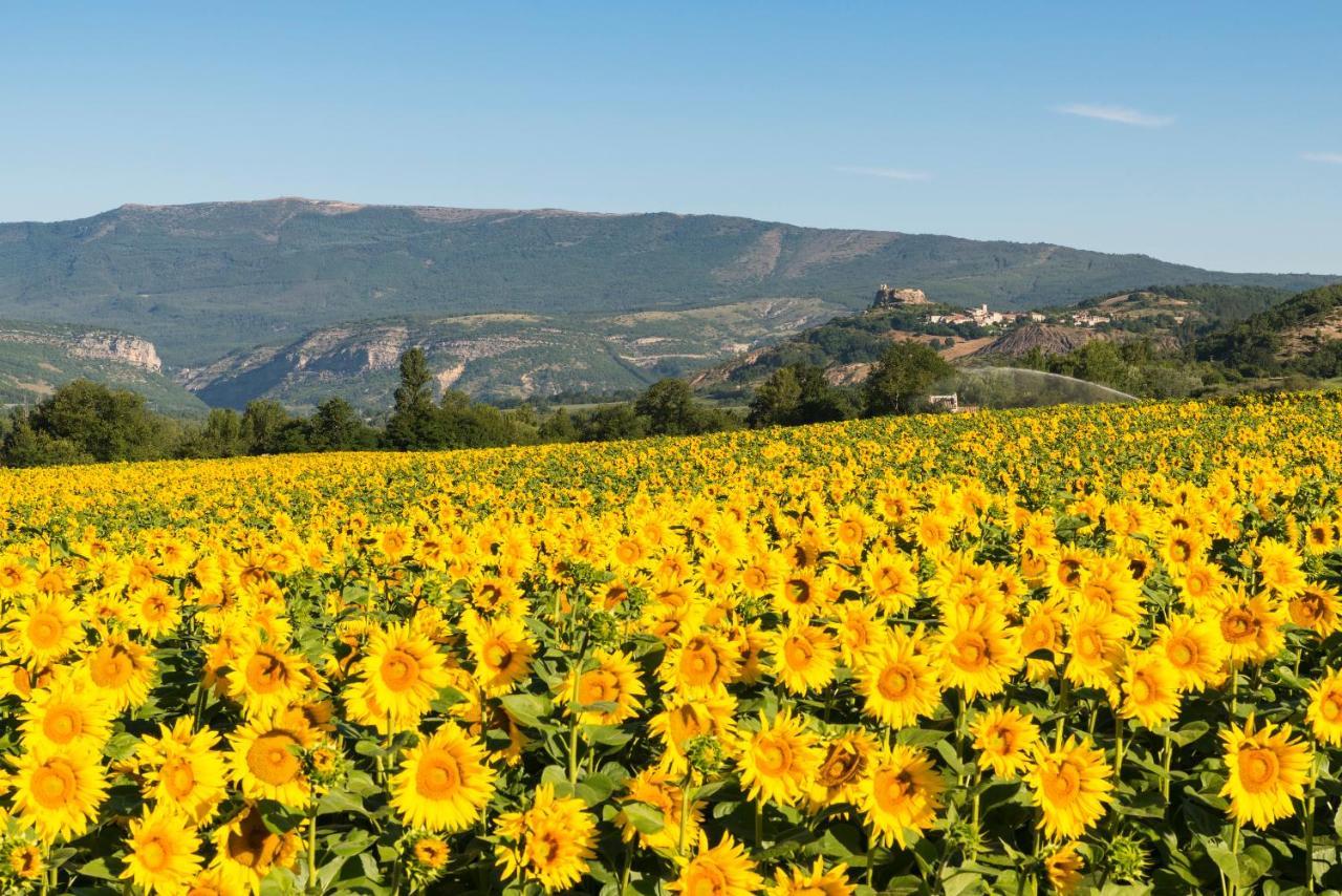 Salerans Serre Des Ormes - Cycling, Walking & Running Retreat מראה חיצוני תמונה